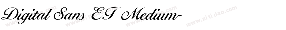 Digital Sans EF  Medium字体转换